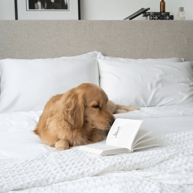 Signature TENCEL™ Deluxe Set